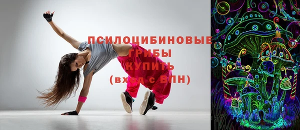 индика Нея