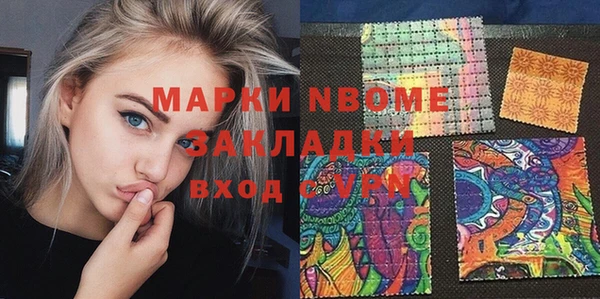 индика Нея