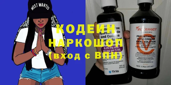 индика Нея