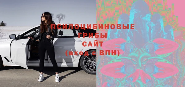 индика Нея