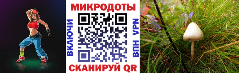 Псилоцибиновые грибы GOLDEN TEACHER  нарко площадка состав  Моздок  сколько стоит 