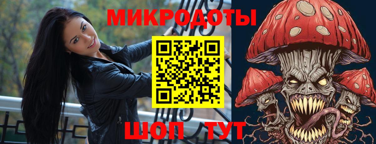 Псилоцибиновые грибы мицелий Моздок